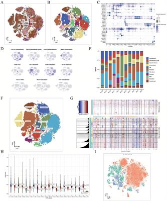 Machine learning-based selection of immune cell markers in osteosarcoma: prognostic determination and validation of CLK1 in disease progression